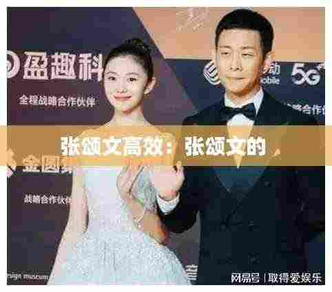 张颂文高效：张颂文的 