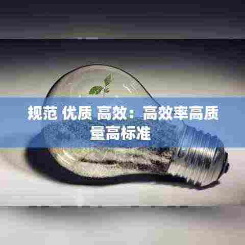 规范 优质 高效:高效率高质量高标准