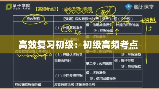 高效复习初级:初级高频考点