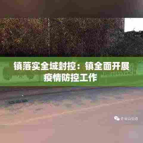 镇落实全域封控:镇全面开展疫情防控工作