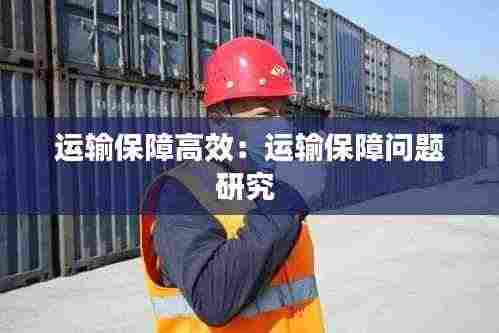 运输保障高效:运输保障问题研究
