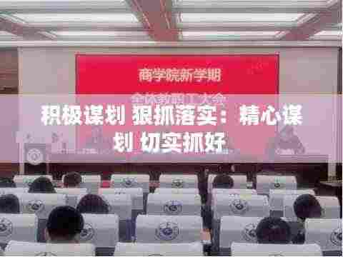 积极谋划 狠抓落实：精心谋划 切实抓好 