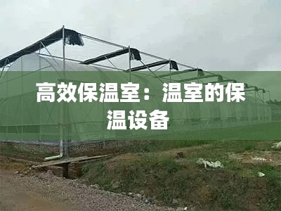 高效保温室:温室的保温设备