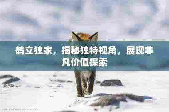 鹤立独家,揭秘独特视角,展现非凡价值探索