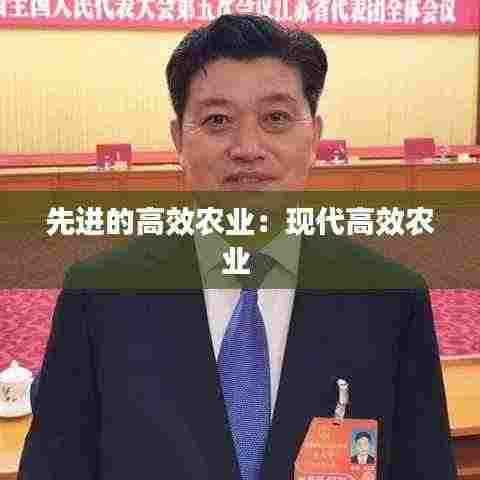 先进的高效农业:现代高效农业