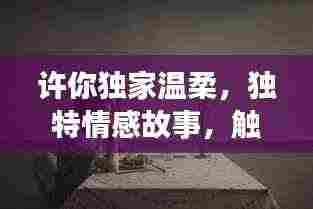 许你独家温柔,独特情感故事,触动心灵深处