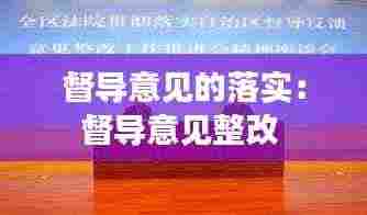 督导意见的落实:督导意见整改