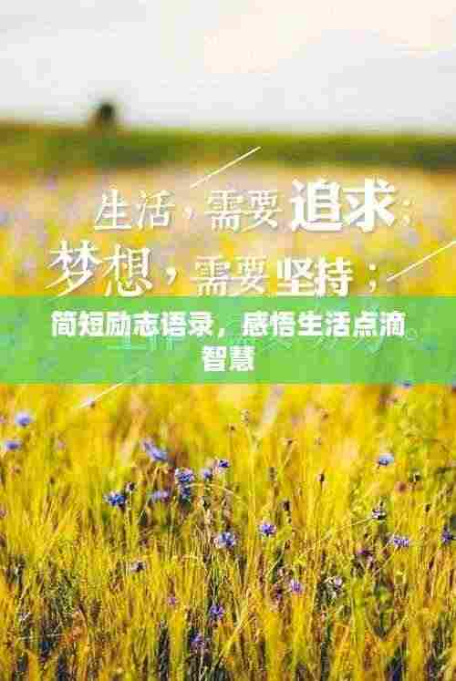 简短励志语录,感悟生活点滴智慧