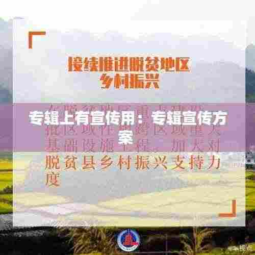 专辑上有宣传用:专辑宣传方案