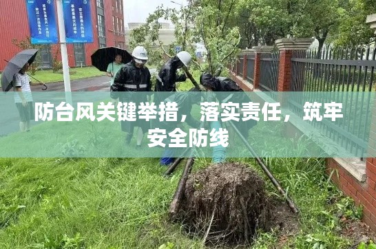 防台风关键举措,落实责任,筑牢安全防线