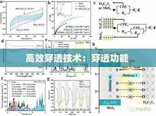 高效穿透技术：穿透功能 
