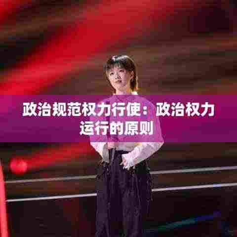 政治规范权力行使：政治权力运行的原则 
