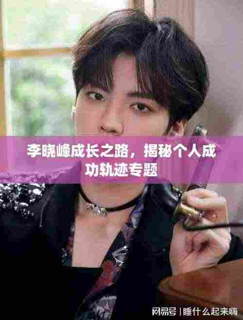 李晓峰成长之路，揭秘个人成功轨迹专题