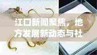 江口新闻聚焦,地方发展新动态与社会热点一网打尽