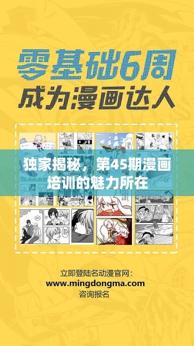 独家揭秘，第45期漫画培训的魅力所在