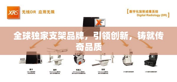 全球独家支架品牌，引领创新，铸就传奇品质