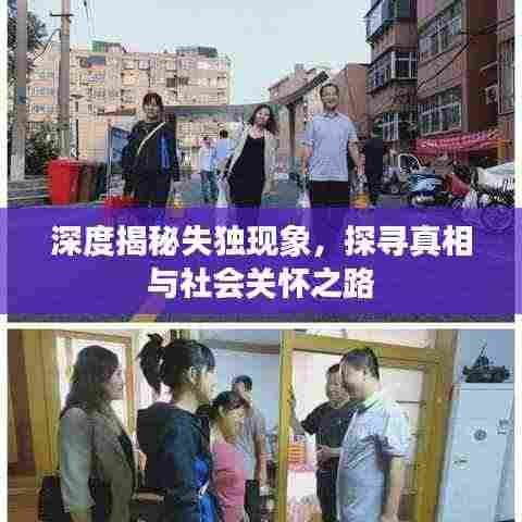 深度揭秘失独现象,探寻真相与社会关怀之路