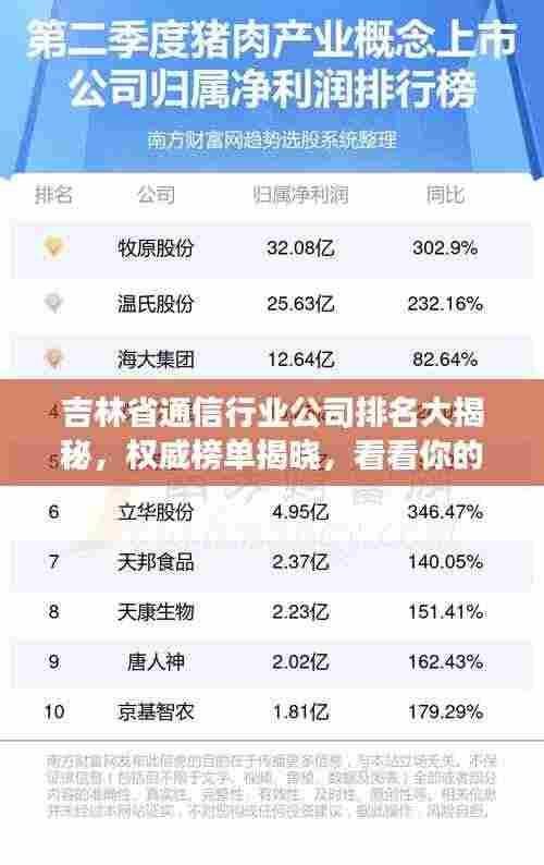 吉林省通信行业公司排名大揭秘，权威榜单揭晓，看看你的企业上榜了吗？