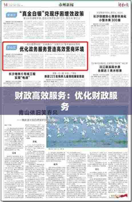 财政高效服务：优化财政服务 