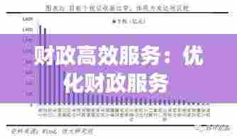 财政高效服务:优化财政服务