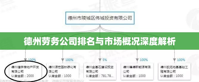 德州劳务公司排名与市场概况深度解析