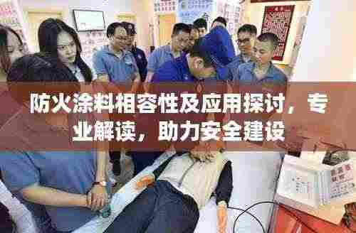 防火涂料相容性及应用探讨,专业解读,助力安全建设
