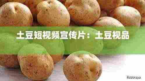 土豆短视频宣传片:土豆视品