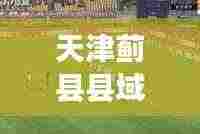 天津蓟县县域发展新动态,头条新闻抢先看