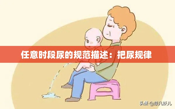 任意时段尿的规范描述：把尿规律 