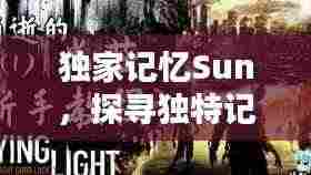 独家记忆Sun,探寻独特记忆的光芒