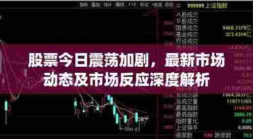 股票今日震荡加剧,最新市场动态及市场反应深度解析