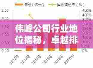 伟峰公司行业地位揭秘,卓越排名引领业界风向标