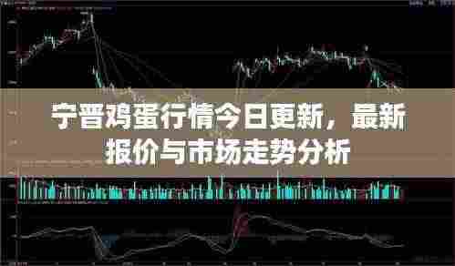 宁晋鸡蛋行情今日更新,最新报价与市场走势分析