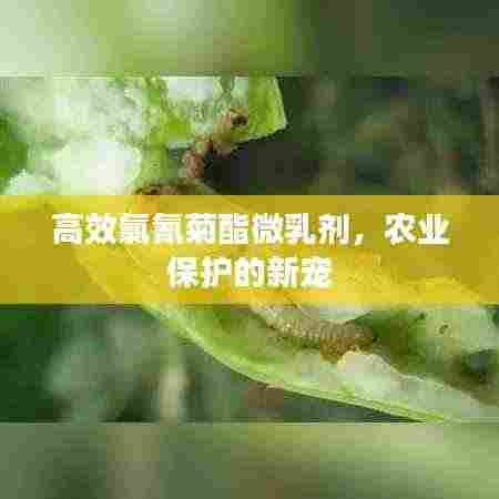 高效氯氰菊酯微乳剂,农业保护的新宠