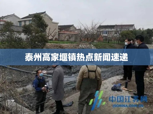 泰州高家堰镇热点新闻速递