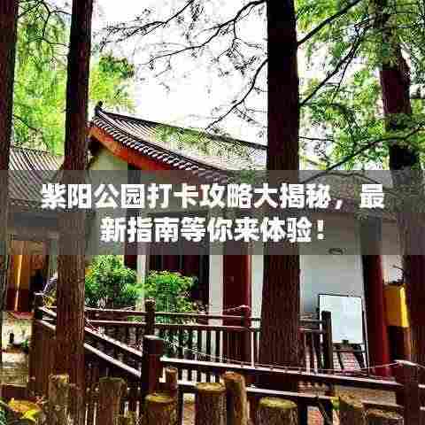 紫阳公园打卡攻略大揭秘,最新指南等你来体验!