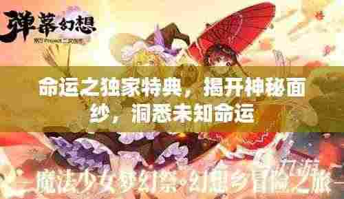命运之独家特典，揭开神秘面纱，洞悉未知命运