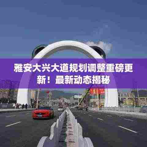 雅安大兴大道规划调整重磅更新！最新动态揭秘