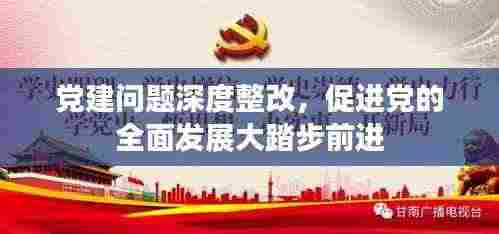 党建问题深度整改,促进党的全面发展大踏步前进