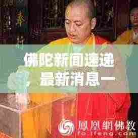 佛陀新闻速递,最新消息一览