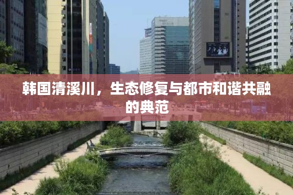 韩国清溪川，生态修复与都市和谐共融的典范