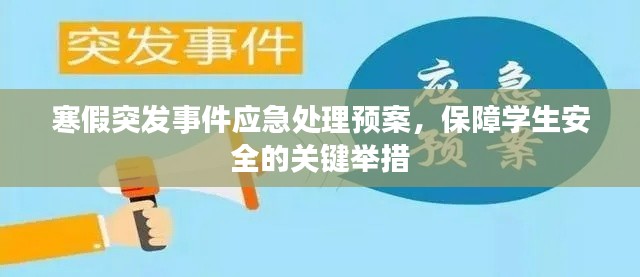 寒假突发事件应急处理预案,保障学生安全的关键举措
