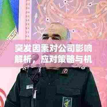 突发因素对公司影响解析,应对策略与机遇转化之道