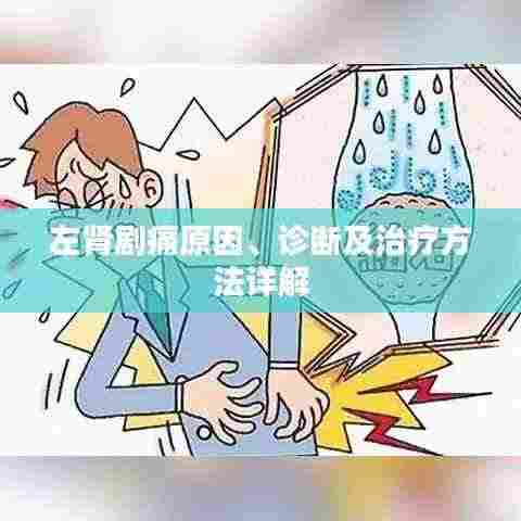 左肾剧痛原因、诊断及治疗方法详解