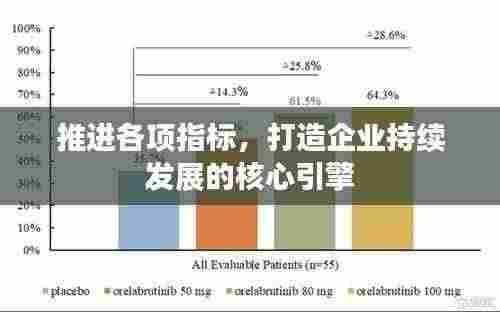 推进各项指标,打造企业持续发展的核心引擎