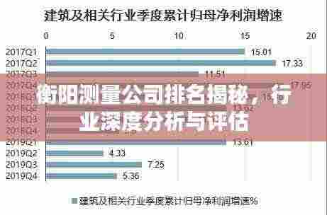 衡阳测量公司排名揭秘,行业深度分析与评估