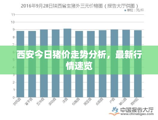 西安今日猪价走势分析，最新行情速览