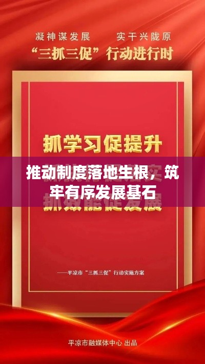 推动制度落地生根,筑牢有序发展基石