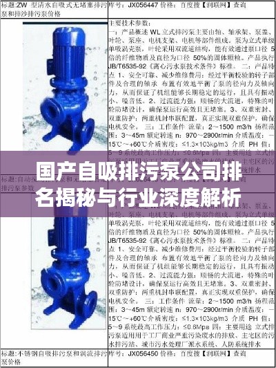国产自吸排污泵公司排名揭秘与行业深度解析