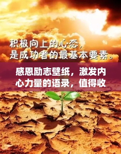 感恩励志壁纸，激发内心力量的语录，值得收藏的励志素材